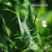 Marco Lucchi - Nova Ilusão (Meticulous Midgets Compilation)