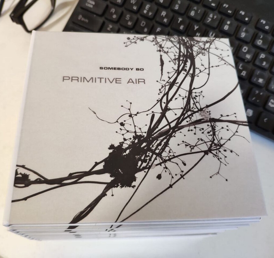 CD: Somebody Bo – Primitive Air
