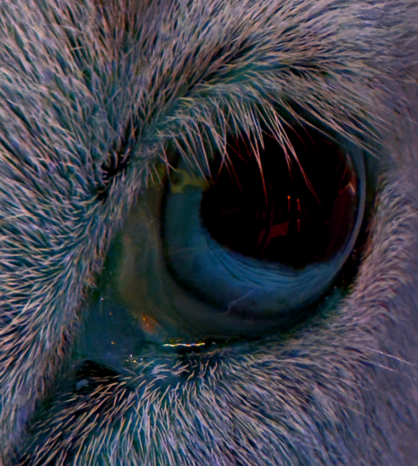 The Black Diamond Train - Don't Ever Stop Moving Towards Me