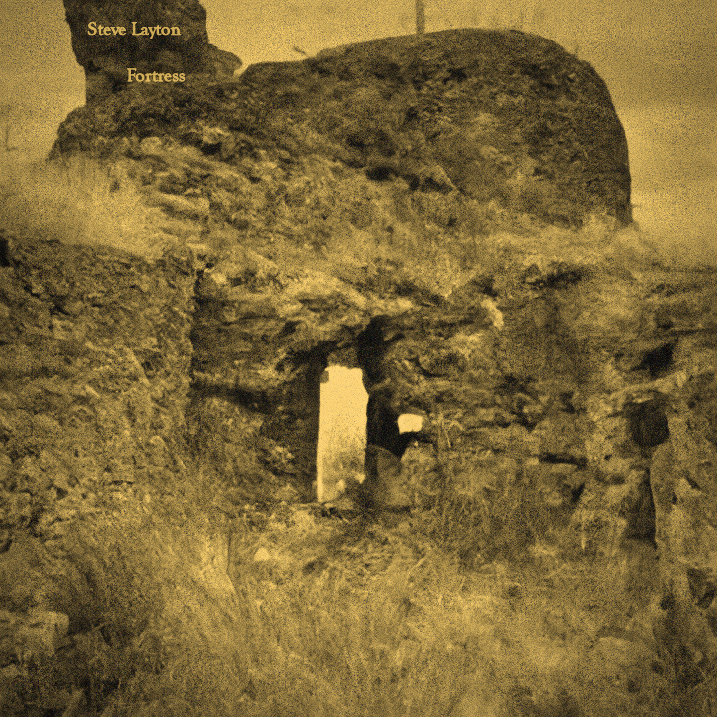 Steve Layton - Fortress