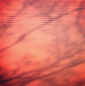 sokpb avabodha - the long trip