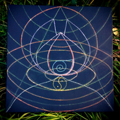 Assembly of honey - Иерархия местопребываний