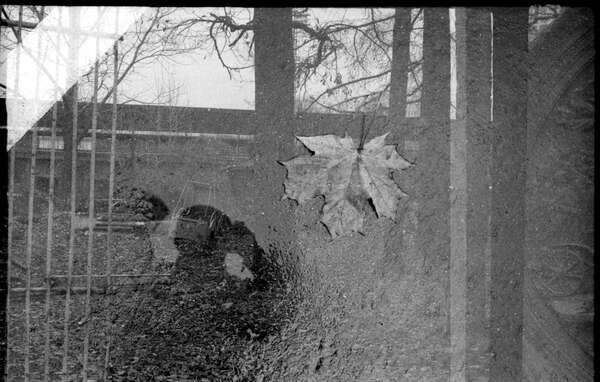  (Дважды два - Александр Бождай)