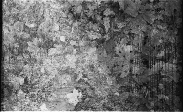  (Дважды два - Александр Бождай)